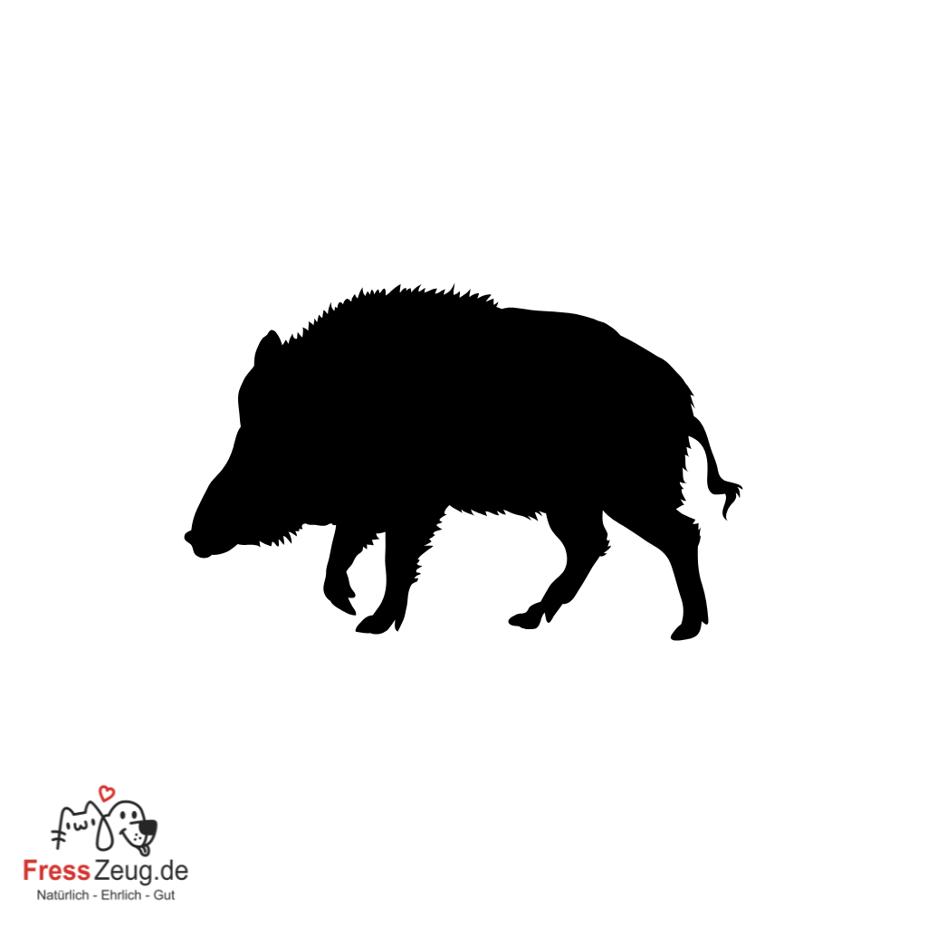 Herzhaftes vom Wildschwein – Urtypisch, mager und proteinreich